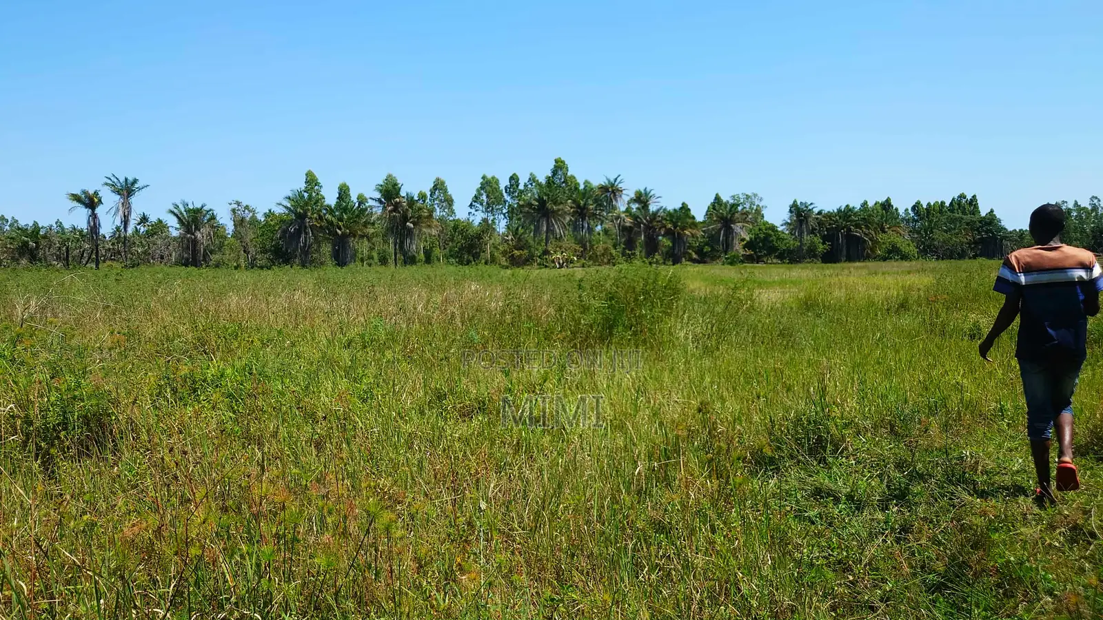 Reduced Price ! 3.9 Acre of Fertile Farmland at Mrima ,Bwiti Freehold