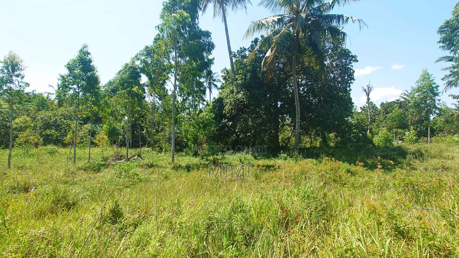 Reduced Price ! 3.9 Acre of Fertile Farmland at Mrima ,Bwiti Freehold