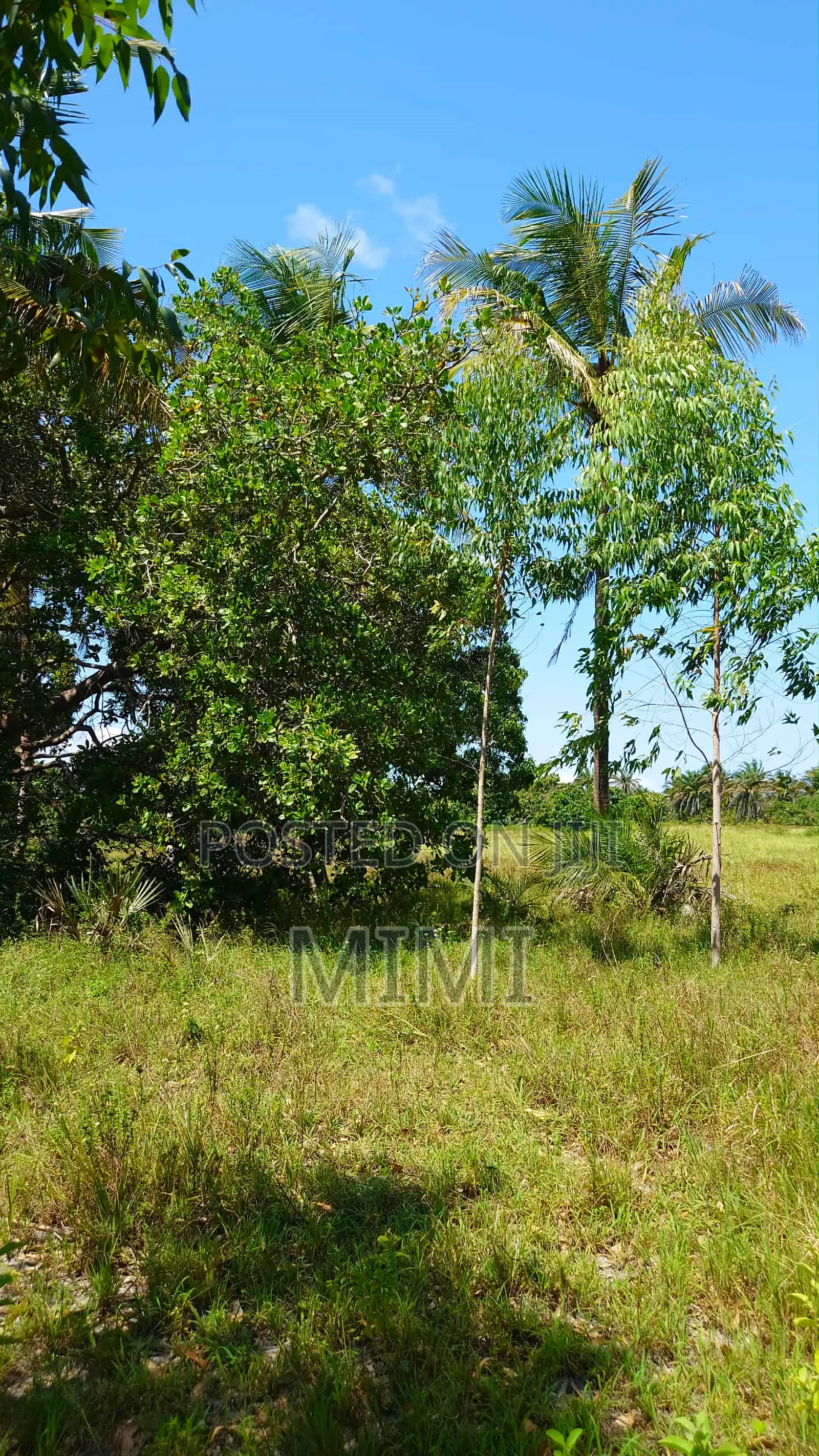 Reduced Price ! 3.9 Acre of Fertile Farmland at Mrima ,Bwiti Freehold