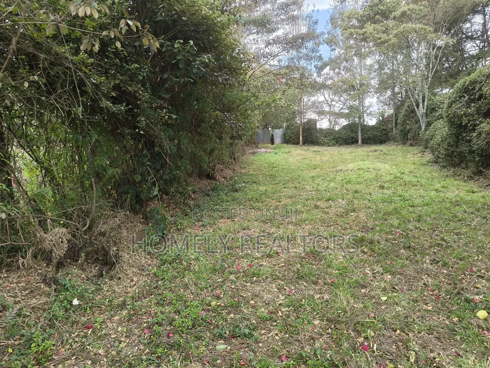 1.25 Acre Piece of Land for Sale in Ngong, Ol Keri Near the Tarmac