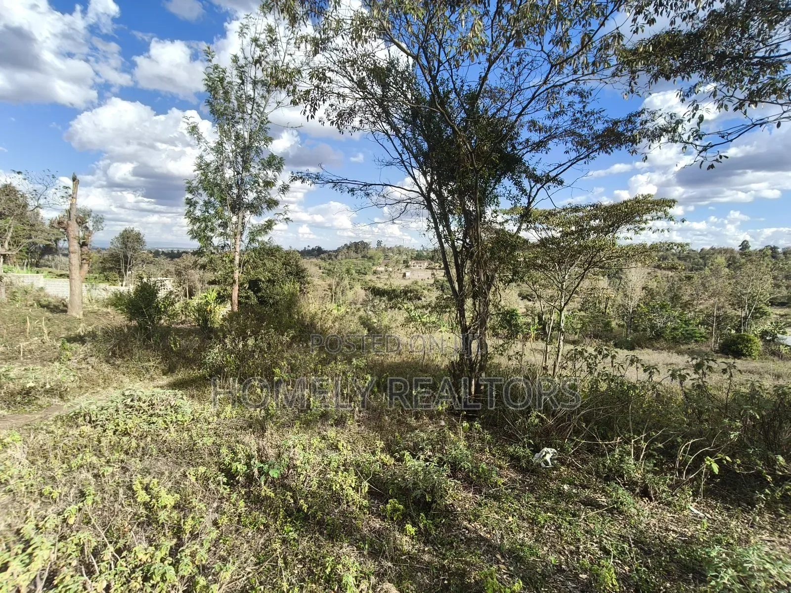 3 Acres Piece of Land for Sale in Ngong, Olkeri Near Tarmac