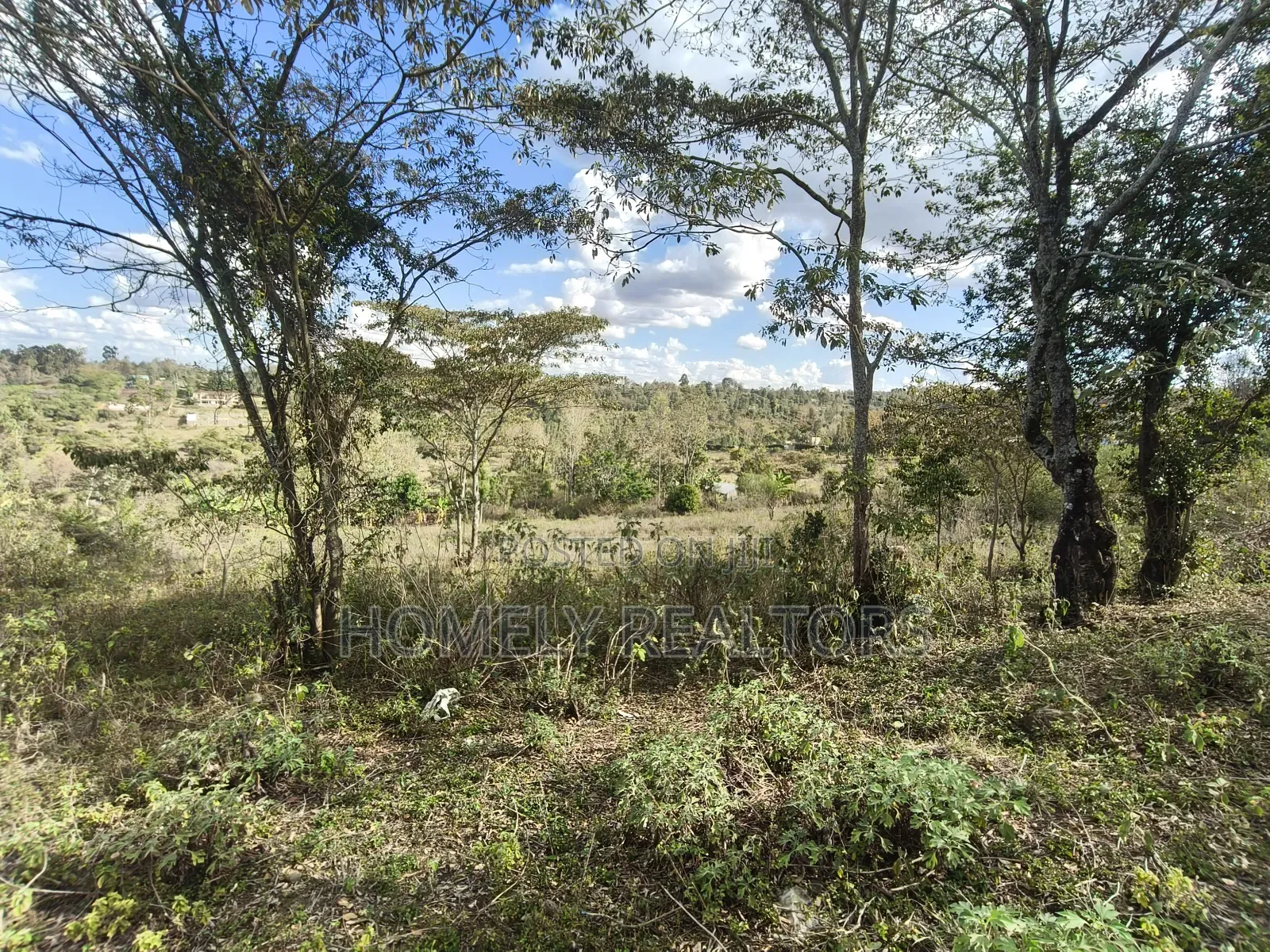 3 Acres Piece of Land for Sale in Ngong, Olkeri Near Tarmac
