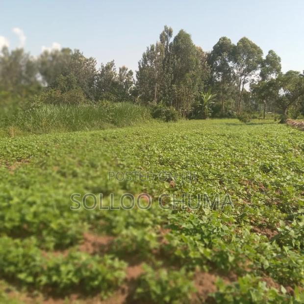 One Acre for Sale Luucho Around Kanduyi - thumbnail 2