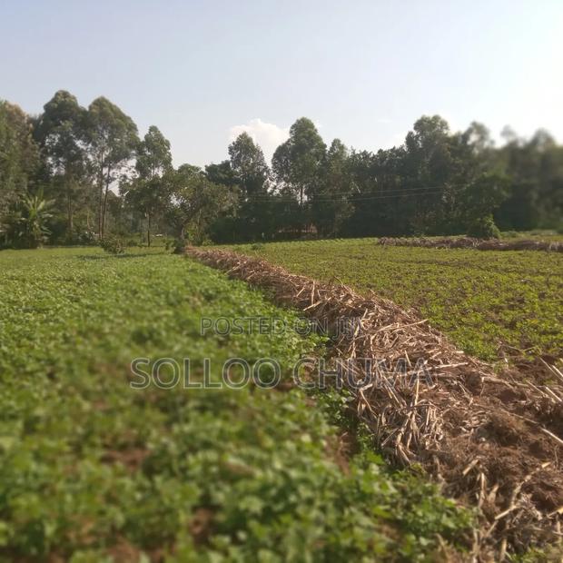 One Acre for Sale Luucho Around Kanduyi - thumbnail 3