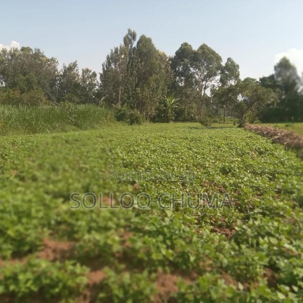 One Acre for Sale Luucho Around Kanduyi