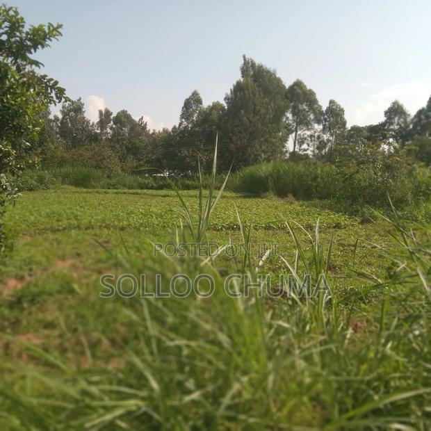 One Acre for Sale Luucho Around Kanduyi - thumbnail 5