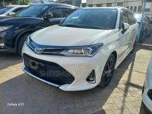 Toyota Corolla Fielder 2019 White