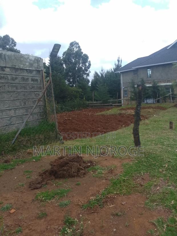 50 by 100 Gitithia - main view