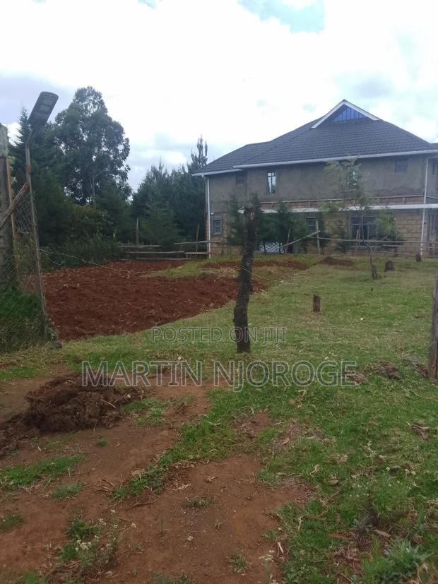 50 by 100 Gitithia - thumbnail 2