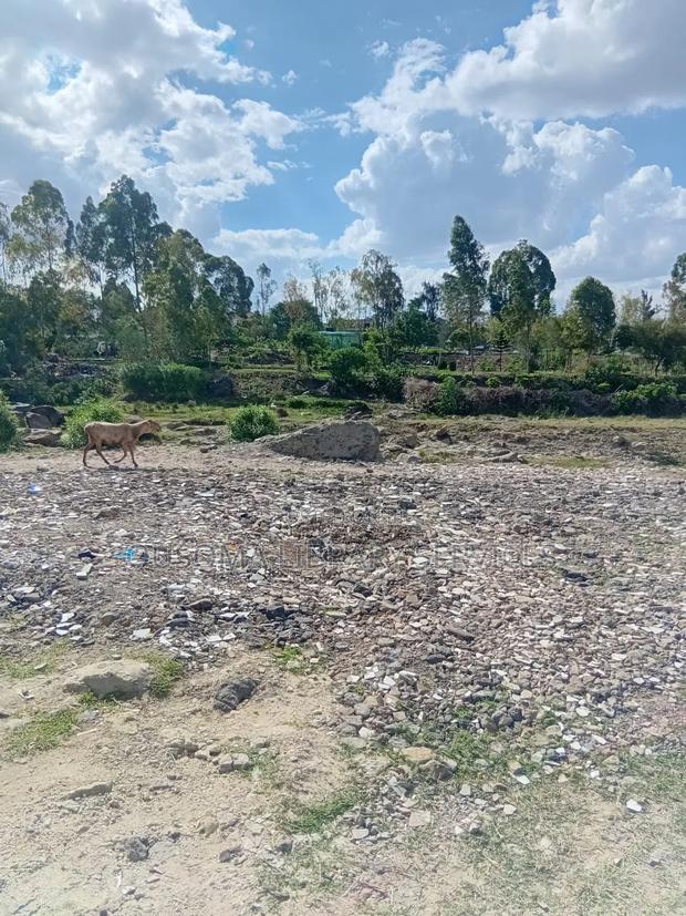 Prime Investment Opportunity: Kitengela Riverside Quarter-Acre Plots - thumbnail 5