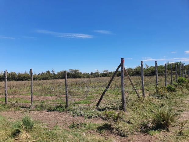 1 Acre and a Quarter for Sale in Giachuma - thumbnail 2