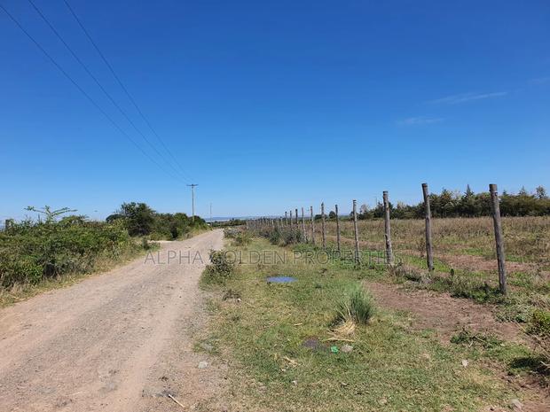 1 Acre and a Quarter for Sale in Giachuma - thumbnail 4