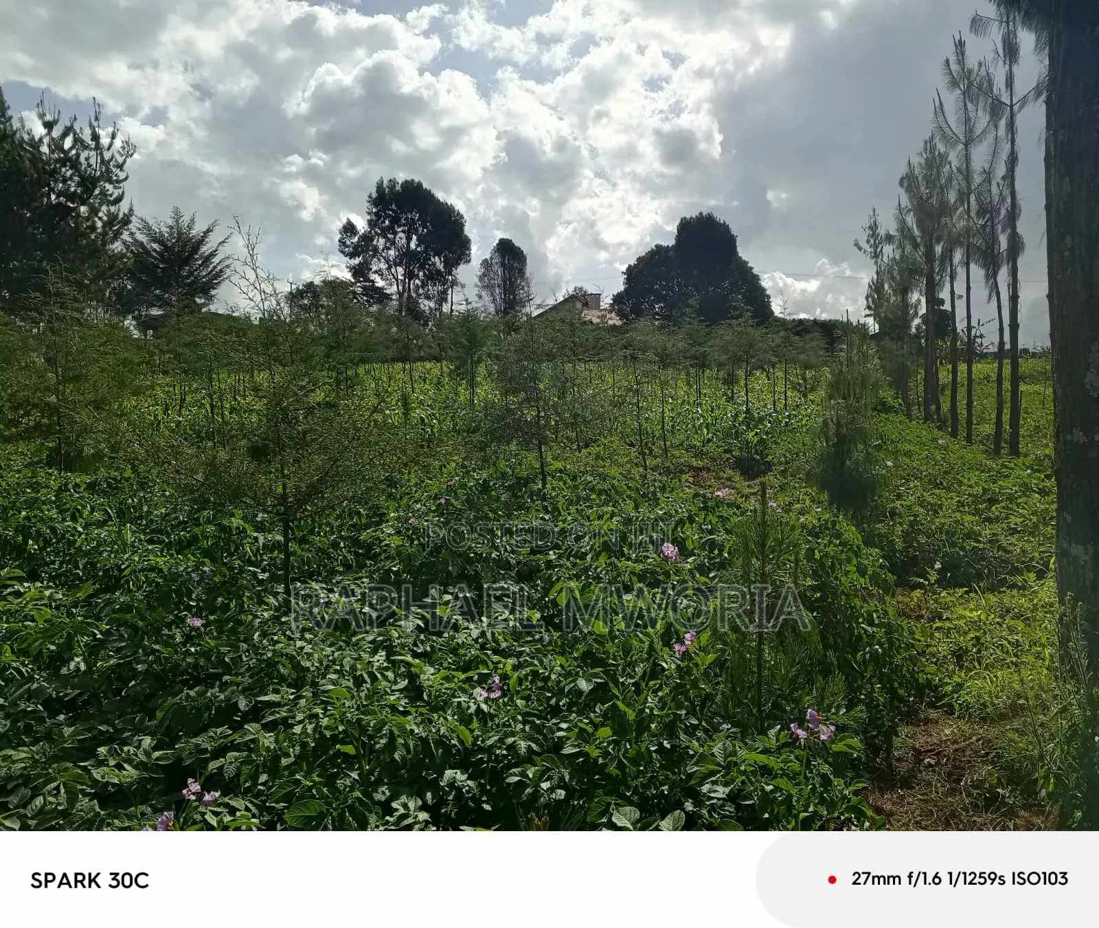 Furnished 5bdrm Maisonette in Gathanje Village., Nyahururu for sale