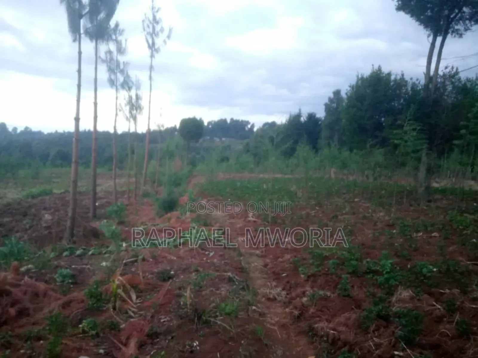 Furnished 5bdrm Maisonette in Gathanje Village., Nyahururu for sale
