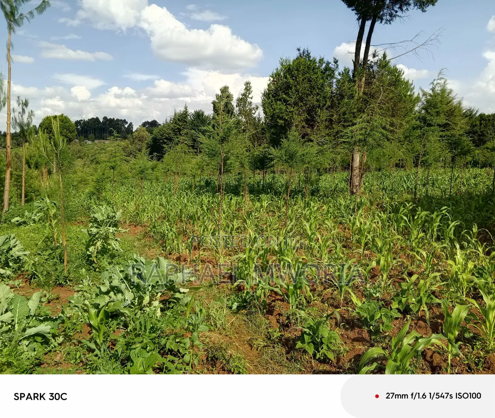 Furnished 5bdrm Maisonette in Gathanje Village., Nyahururu for sale