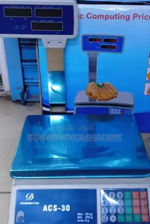 Digital Weighing Scale. With Arm