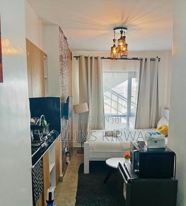 Studio Airbnb in Fedha - main view