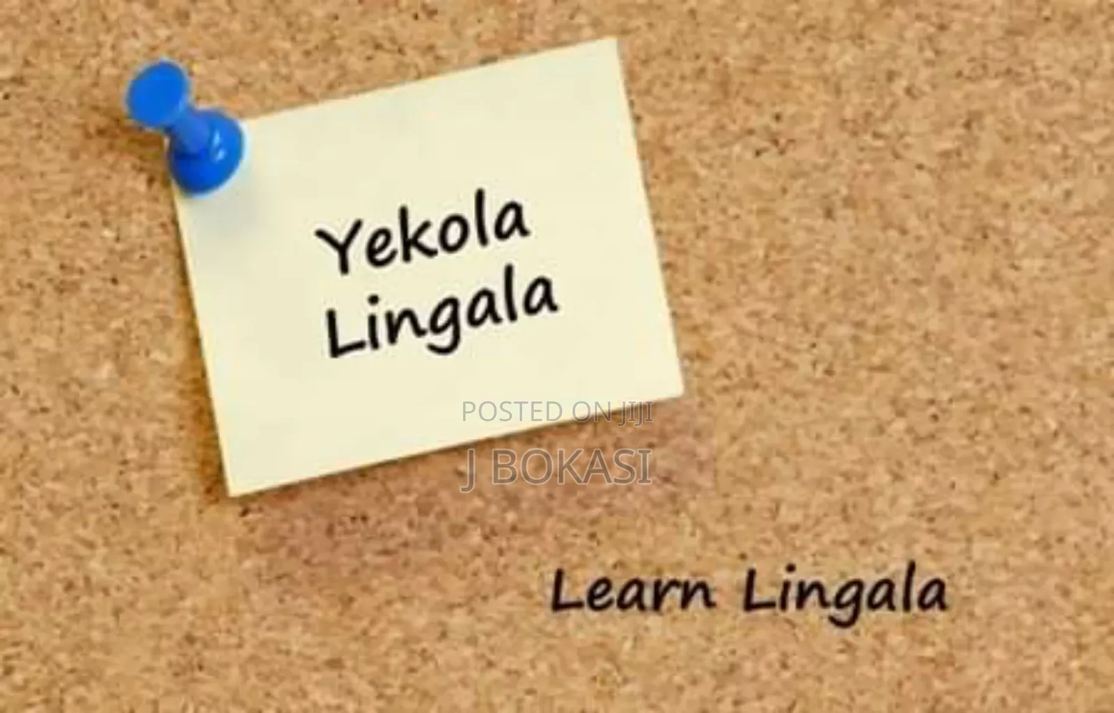 French, Spanish, Swahili, Portuguese, Lingala, English, Chinese Lesson