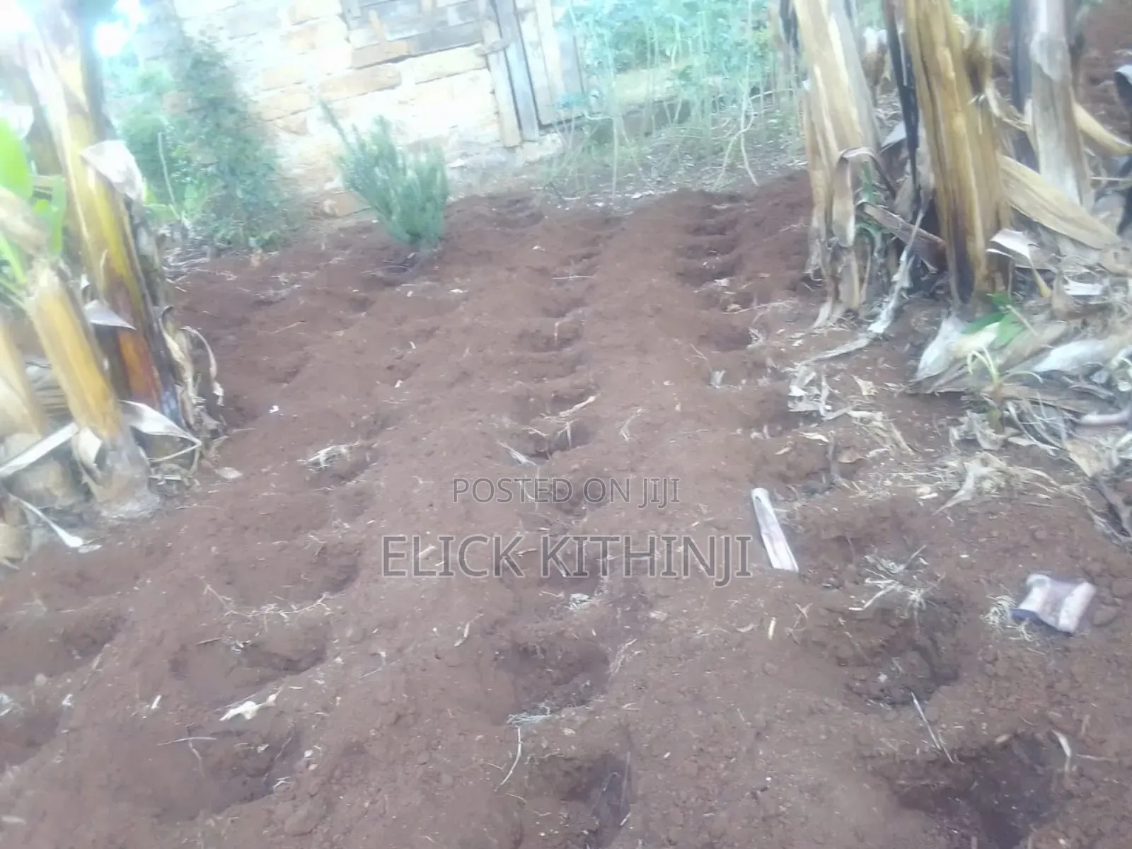 Plot for Sale