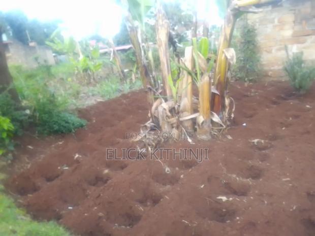 Plot for Sale - thumbnail 4