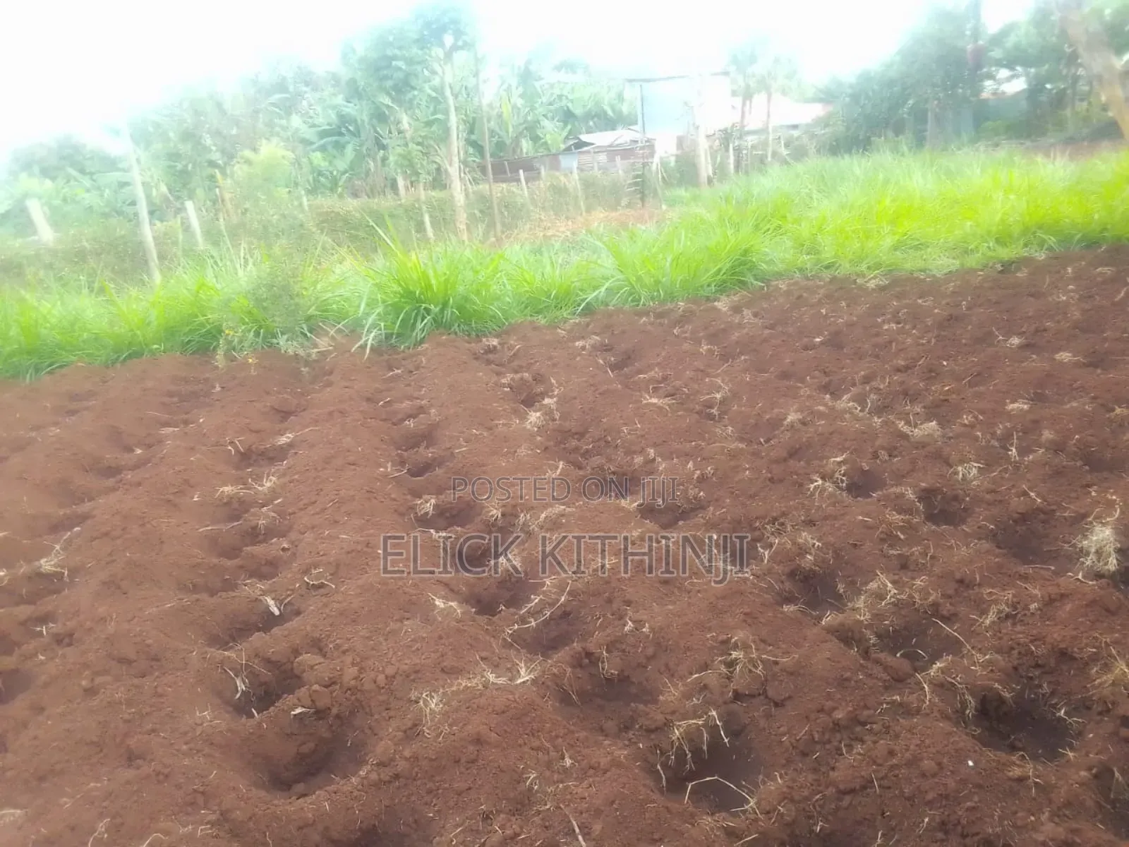 Plot for Sale