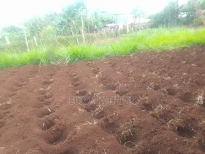 Plot for Sale