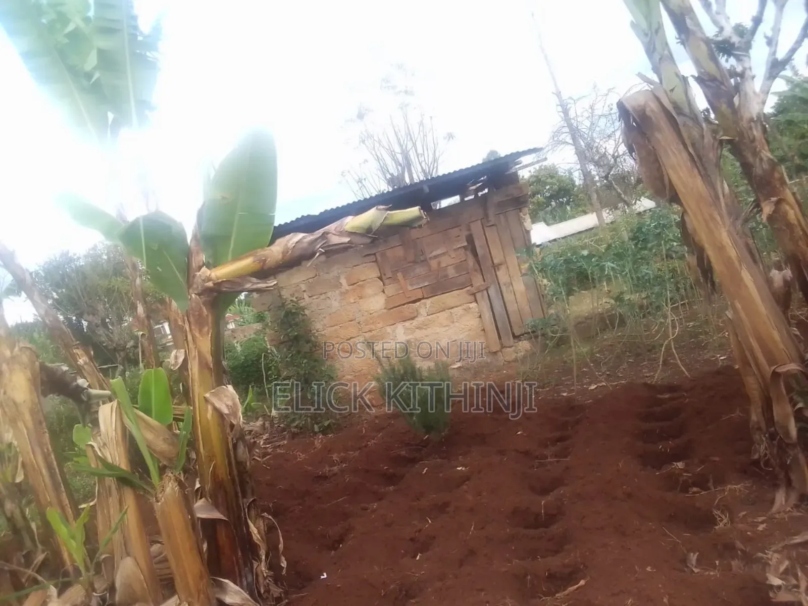 Plot for Sale