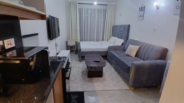 Bed Sitter Airbnb for Booking - main view