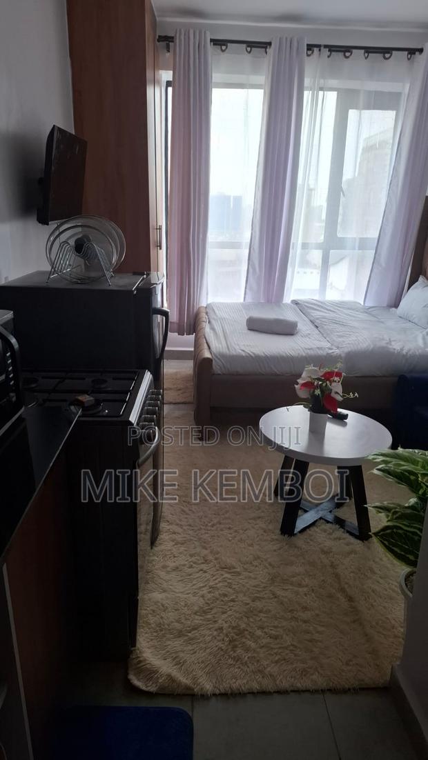 Bed Sitter - For Booking - thumbnail 7