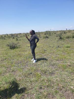 Plot for Sale - thumbnail 2