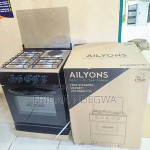 50*55 Ailyons 3+1 Standing Cooker