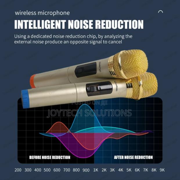 Portable Singing Wireless Handheld Microphone Dual for Stage Use - main view