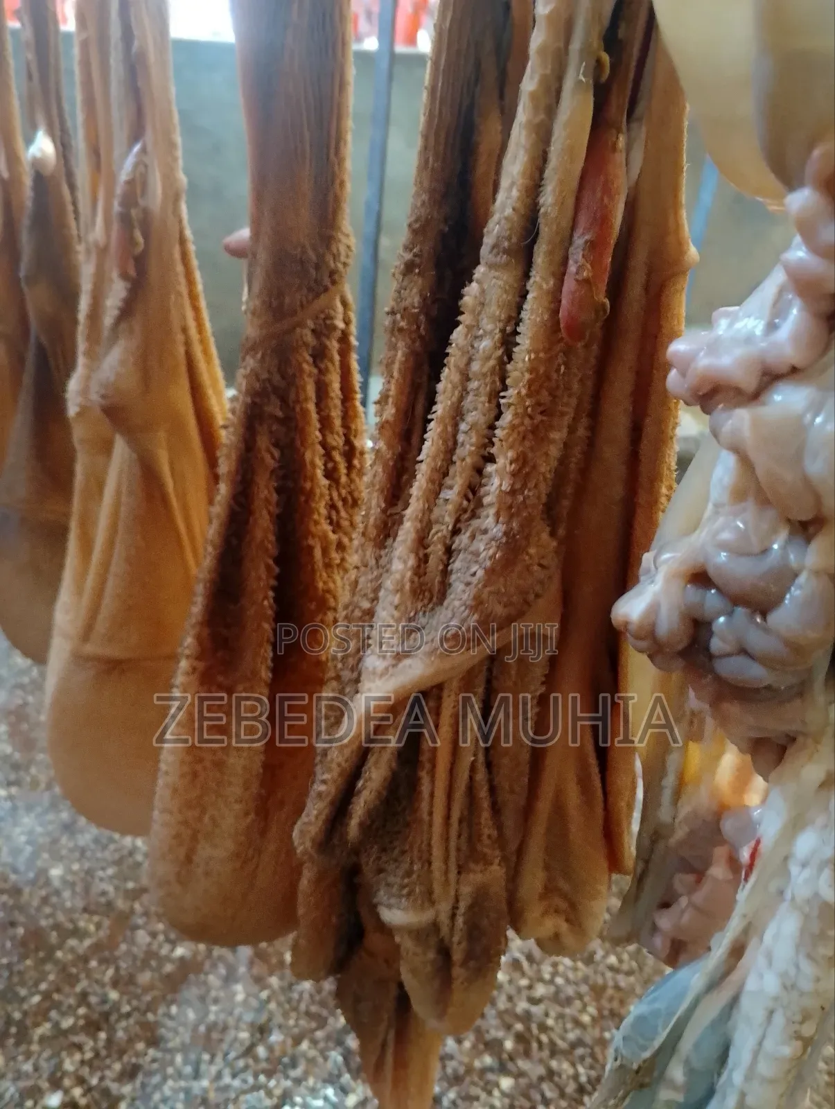 Meat Supplier Kifaru 001