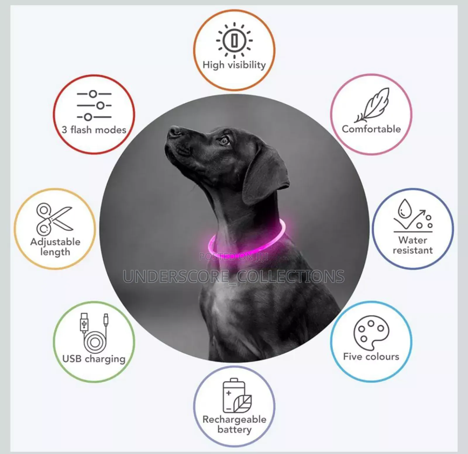 Rechargeable Light Up Pets Collar