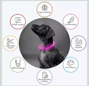 Rechargeable Light Up Pets Collar