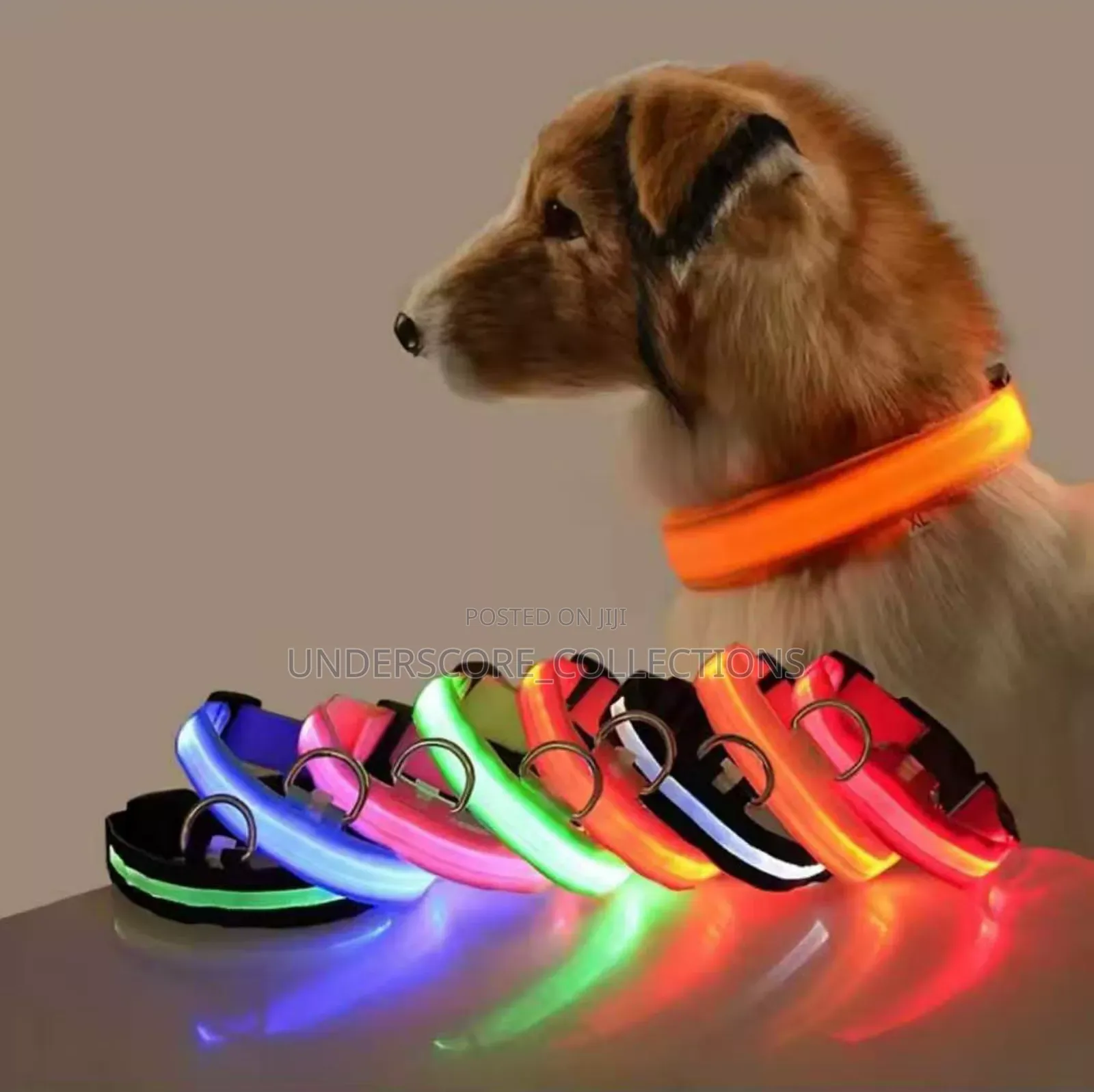 Rechargeable Light Up Pets Collar
