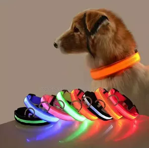 Rechargeable Light Up Pets Collar