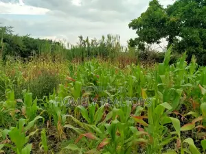 Eighth Acre Plot for Sale in Ongata Rongai, Kandisi.