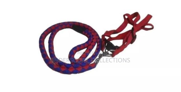 Trdog Leash / Harness With Collar