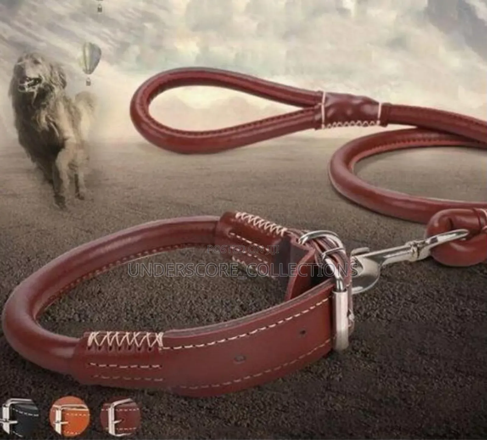 Leather Dog Leash and Collar
