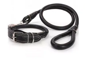 Leather Dog Leash and Collar