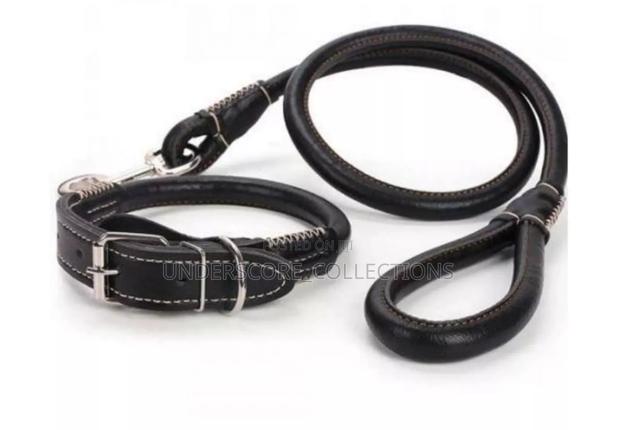 Leather Dog Leash and Collar - thumbnail 3