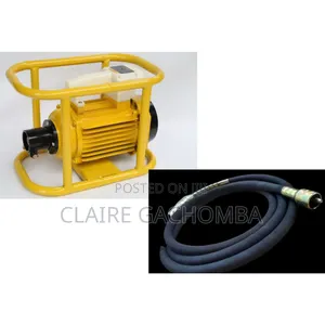 Electric Vibrator With Pin