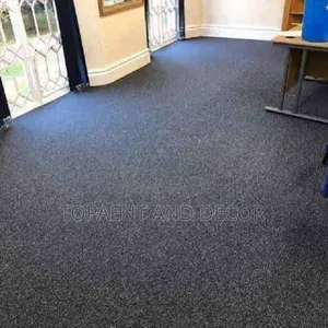 Soft Floor Wall to Wall Carpet Full Room Coverage
