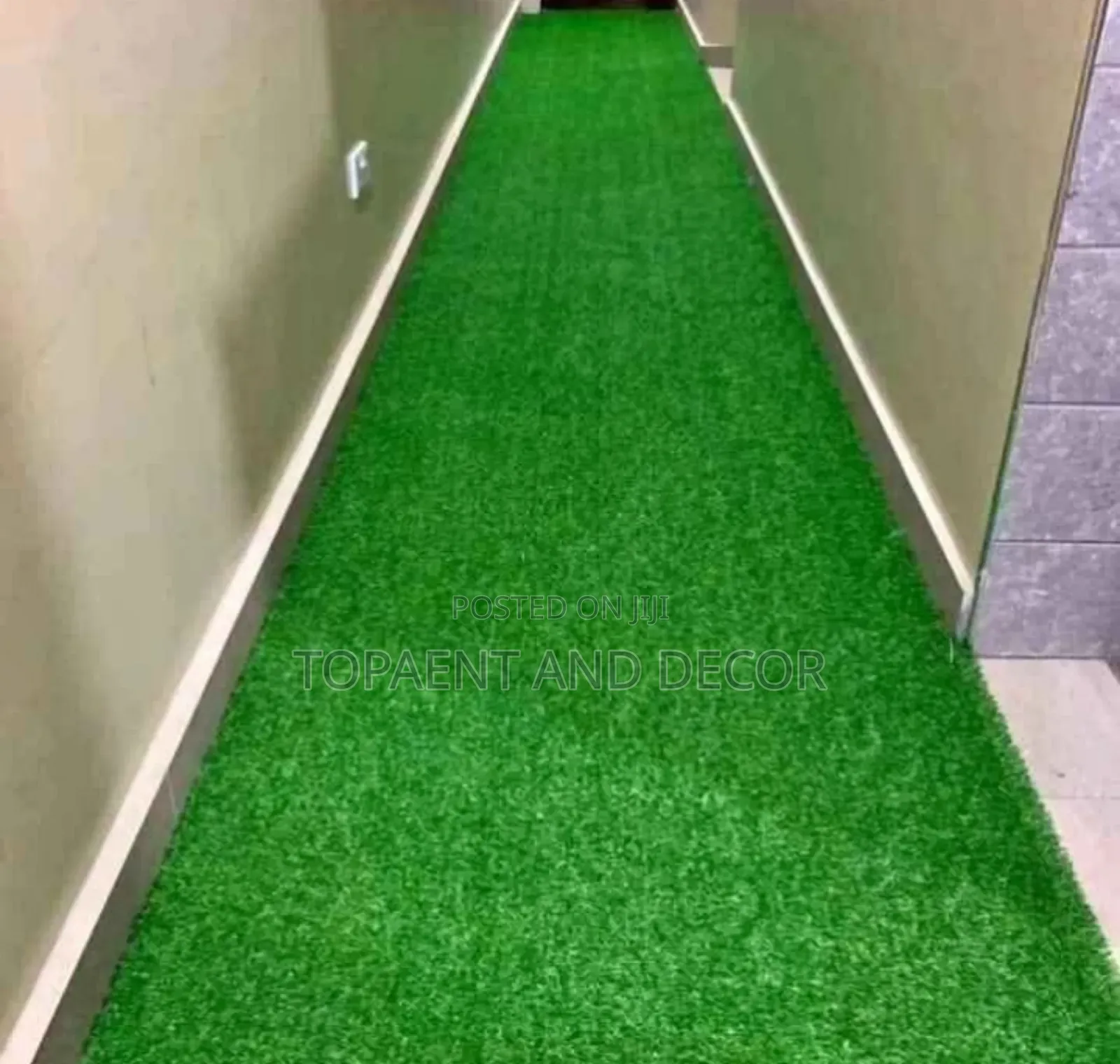 Artificial Grass Carpet for Home Designed Corridor