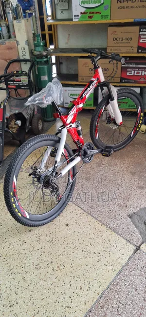 Foldable Adult Bike