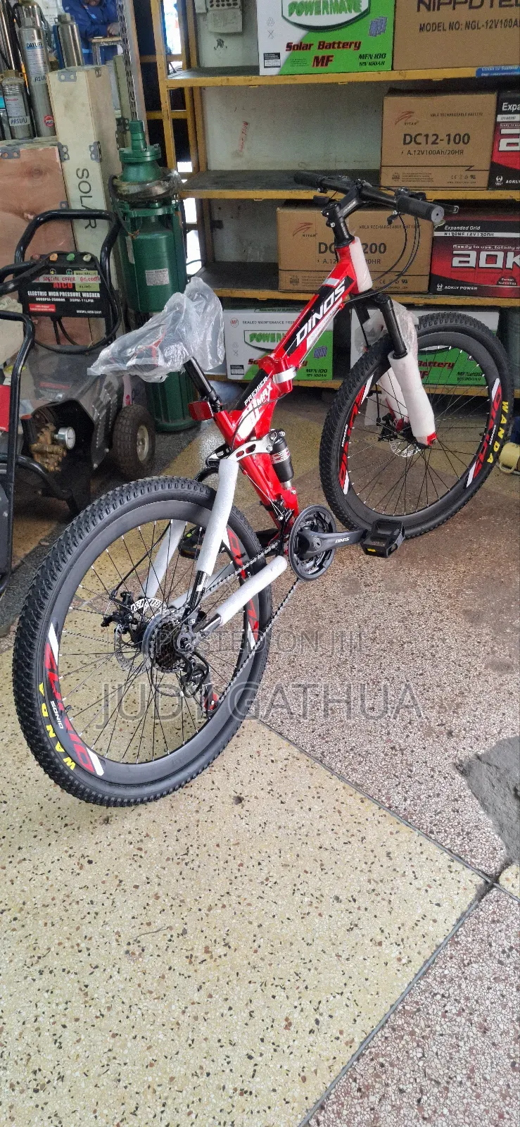 Foldable Adult Bike