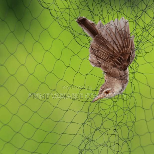 Bird Nets–To Protect Crops, Poultry, and Fish That Are Prone to Birds. - main view