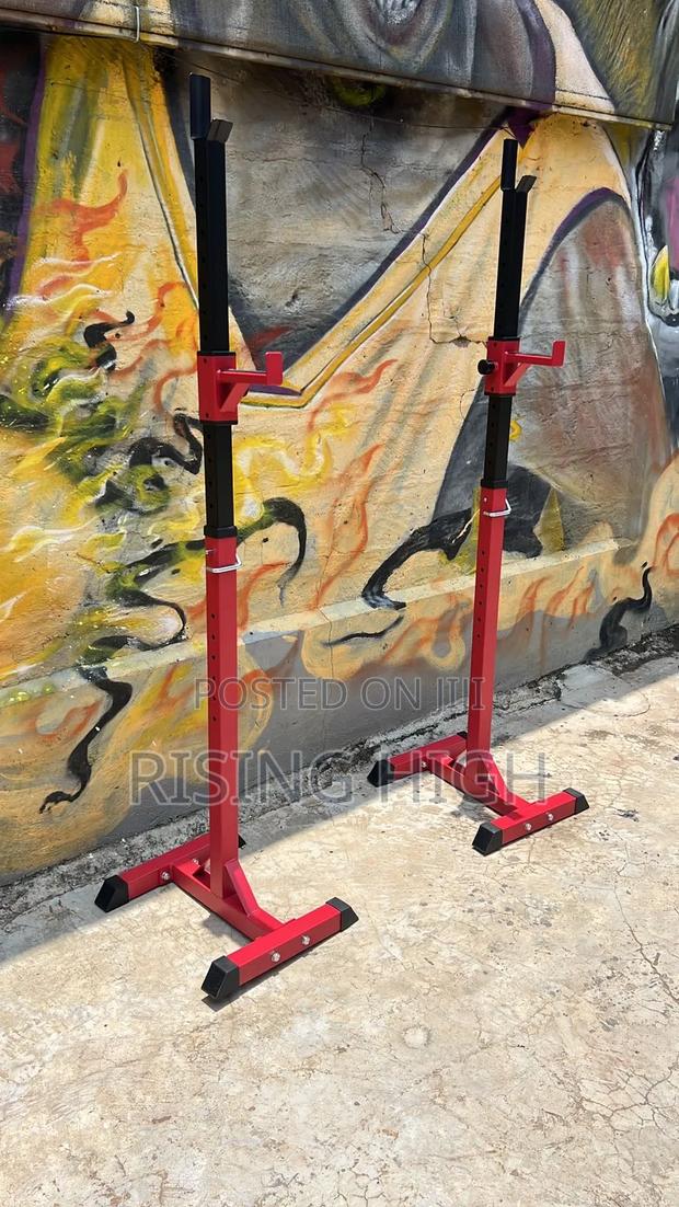 Professional Gym Squat Stand