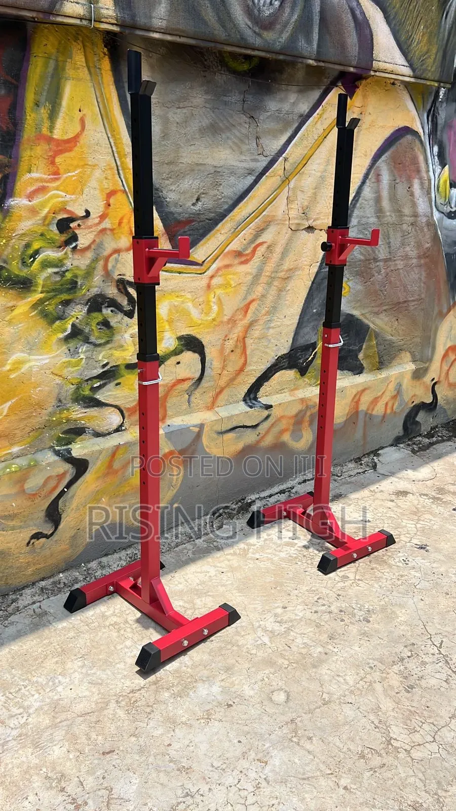 Professional Gym Squat Stand